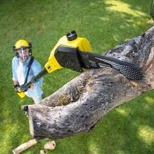 Lawn Grading and Leveling in Clementon, NJ