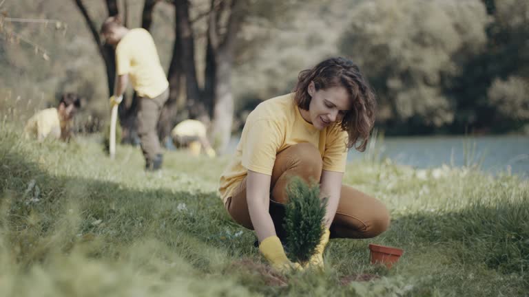Best Lawn Pest Prevention  in Clementon, NJ
